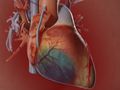 Traditional Coronary Artery Bypass Graft (CABG) Surgery