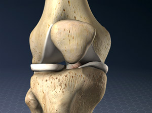Knee - The Orthopaedic Center